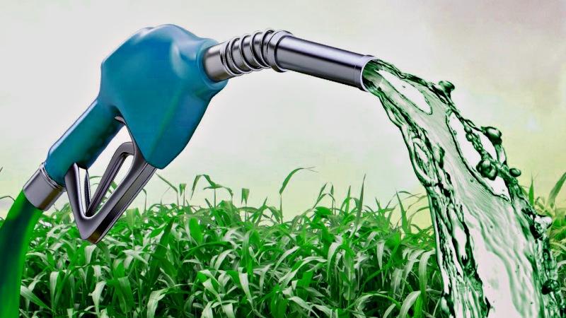 Un expert définit Aliança Biodiesel comme une « étape importante dans le futur ».